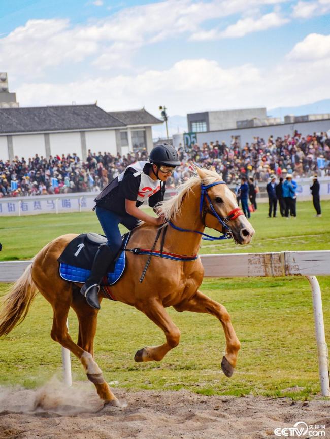 雲南大理：三(san)月街民族節賽(sai)馬大會開幕