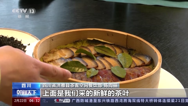 今年春(chūn)茶全面開采(cǎi) 開采期較去(qu)年提前