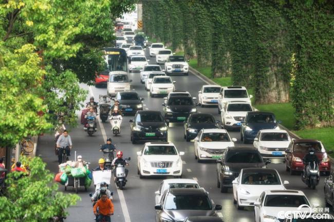 2025年12月7日，成(chéng)都，高架橋下爬(pá)滿碧綠的爬山(shān)虎。視覺中國
