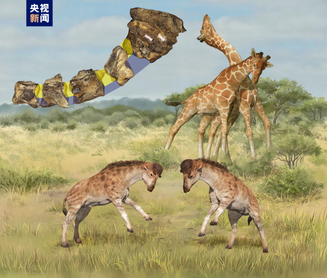 2022年(nian)度中國古(gu)生物學十(shi)大進展發(fā)布